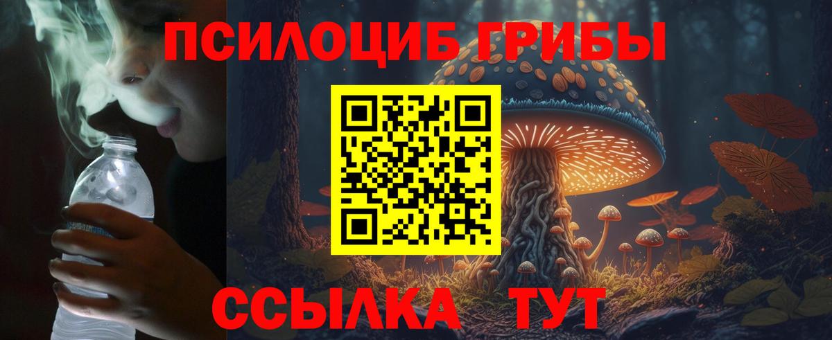 Псилоцибиновые грибы Psilocybine cubensis  Галлюциногенные грибы ЛСД  Вход с VPN  Тула 